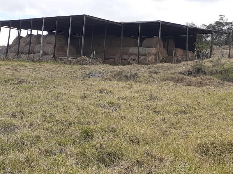 0 Bedroom Property for Sale in Albertinia Western Cape